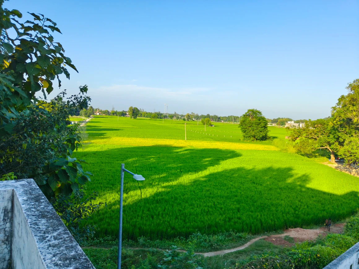 Realme GT 7T Camera Sample