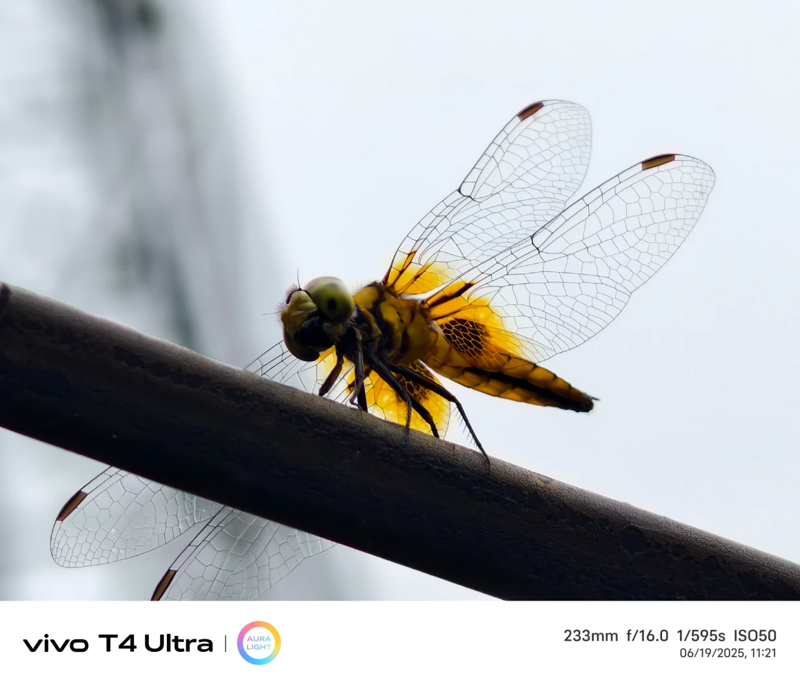Vivo T4 Ultra Camera Sample