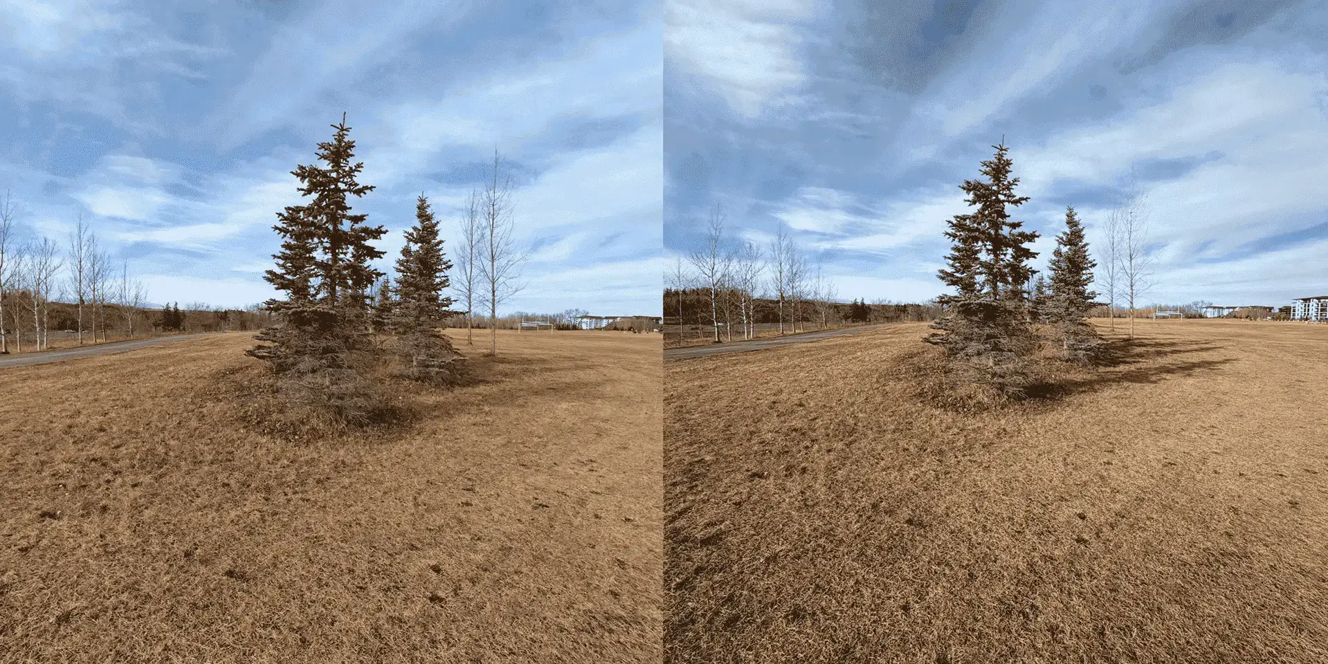 iPhone 17 or OnePlus 15 Which Is Better In 2026