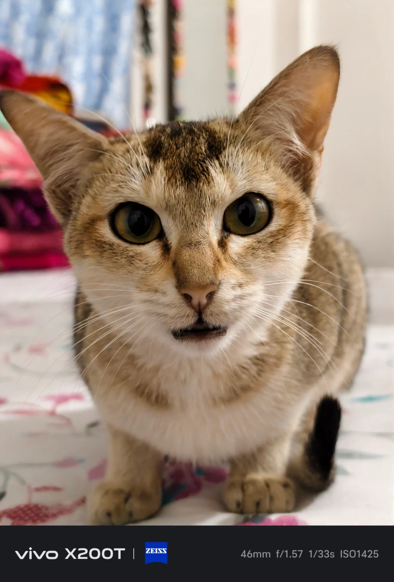 Vivo X200T Camera Sample